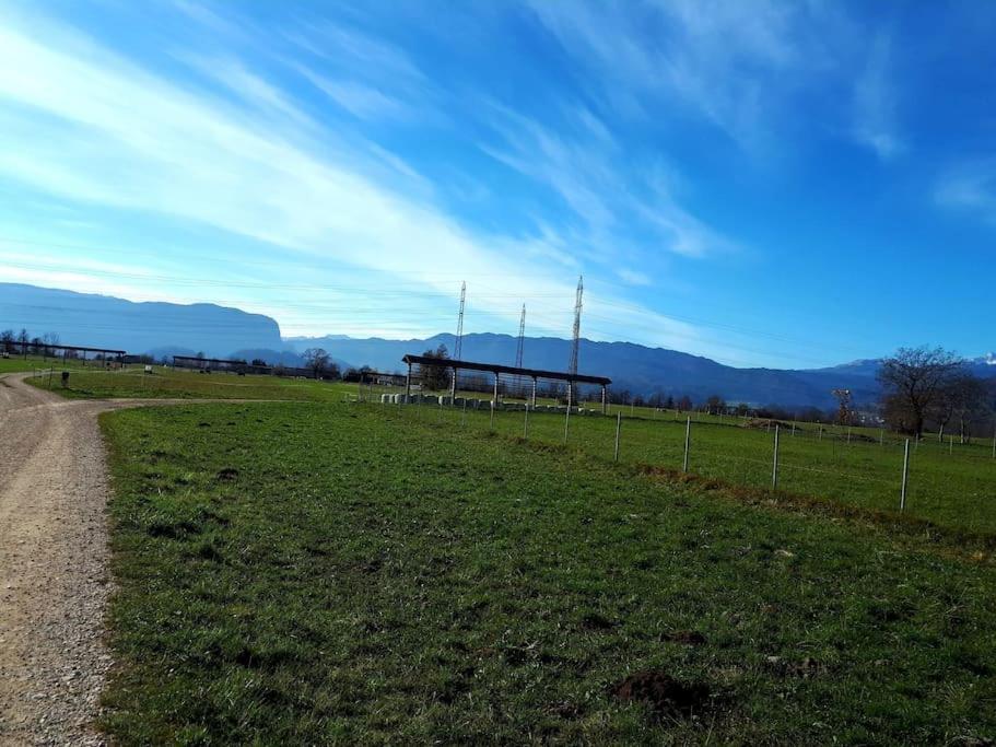 Apartma Juli ゴレンスカ地方 エクステリア 写真